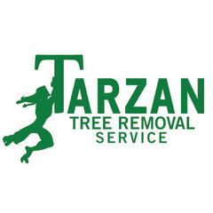 Tarzan Tree Removal