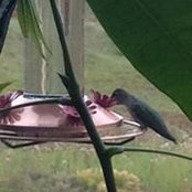 Jill Zacher's photo