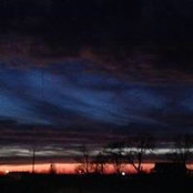 BryanAlisha Albright's photo