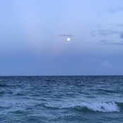 Daniel Barrie's photo
