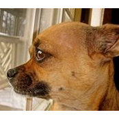 Riley Lang's photo