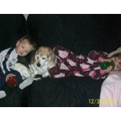 Dana Rosenbaum's photo