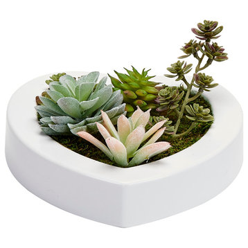 Mixed Succulents in 7" Heart Shaped White Plastic Container