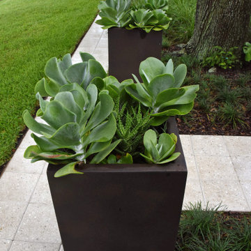 Mid-Century Modern Garden