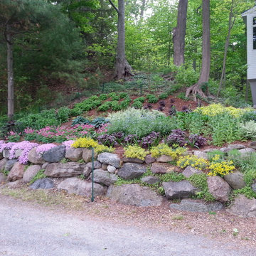 Duneside Shade Garden