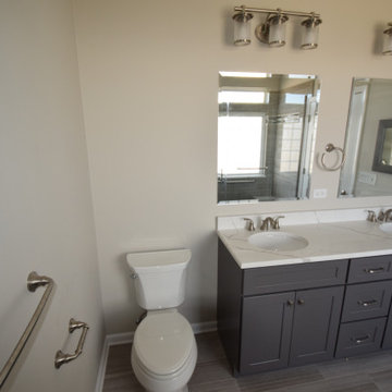 Grayslake Kitchen, Master & Hall Bathrooms