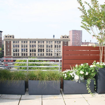 Hoboken Rooftop Garden