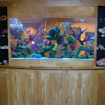 Custom Aquarium Designs