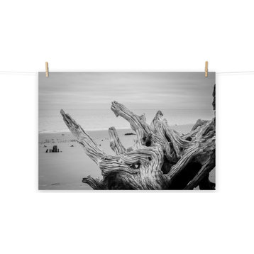 Coastal Farmhouse Art: Driftwood 4 Black & White Unframed, 24" X 36"