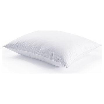 HiEnd Accents Down Pillow Insert, King 21"x34"