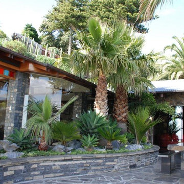 Coastal Palm Garden