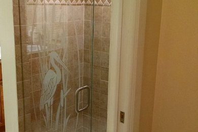 Shower Door with Etching