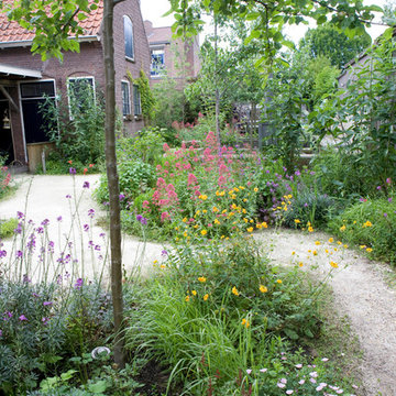 Garden behind a former milk shop