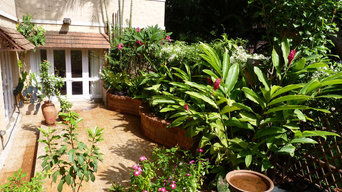 Lakshmi's Tropical Terrace Garden