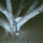Casey Jones_Bunton