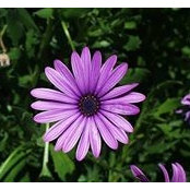 Diana VanWinkle Cox's photo