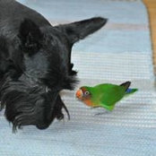 Cécille Bouchard's photo