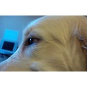 Debbie Fitzerman's photo