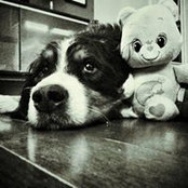 Photo de Stuart S