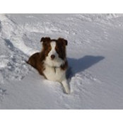 Geoff Klingenstein's photo
