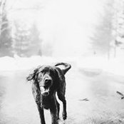 Leo Beaudet's photo