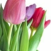 Ruth Koch's photo