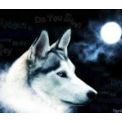 Karim Kamar's photo