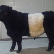 Kevin Studabaker's photo