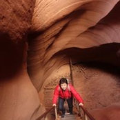 Nancy Ueda Iwamoto's photo