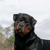 Carol Laskey's photo