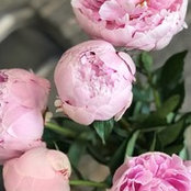 Barbara Asimos's photo