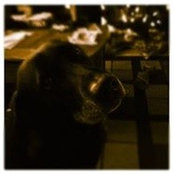 Joe McCloskey's photo