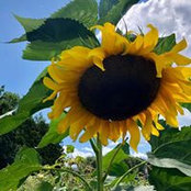 Nancy Jones's photo