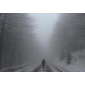 Corina Țibuさんの写真
