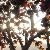 Nancy Couick's photo