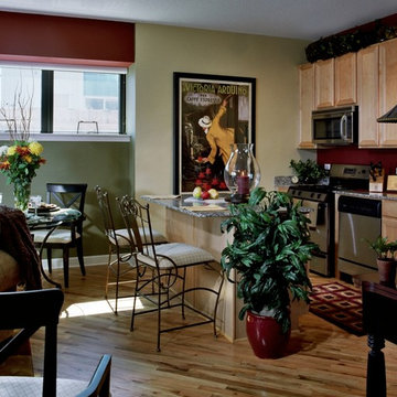 Chicago High Rise Interior Design