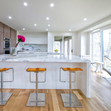 Modern Kitchen Remodel
