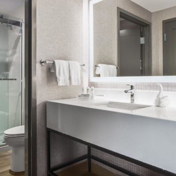 Hilton DFW Airport South