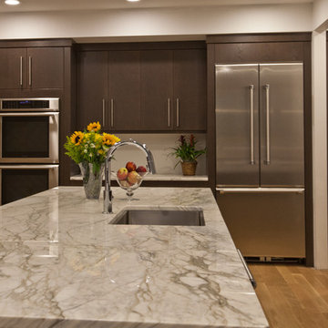 Calacatta Gold Marble Contemporary Kitchen