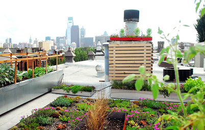 Now Approaching the Emerald City