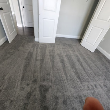 Residential Carpet Installation