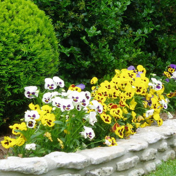 Backyard Landscaping