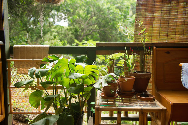 Tropical  by Ashley Camper Photography