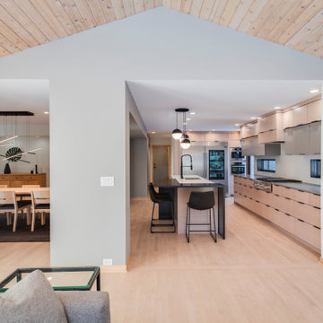 Minimalist Modern Kitchen
