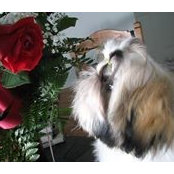 Cindy Titus's photo