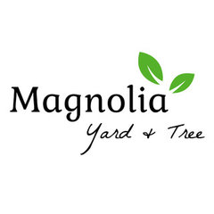 Magnolia Yard and Tree