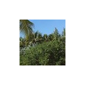 Siva S's photo