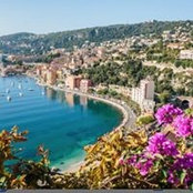 Mojgan Afsahi's photo