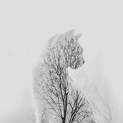 Jennifer Levac's photo