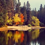 Sarah Garden's photo